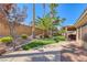 Backyard view with a pristine lawn, desert landscaping, walking path, palm trees, and covered patio seating area at 7311 Chaparral Cove Ln, Las Vegas, NV 89131