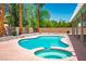 Backyard pool and spa area surrounded by lush landscaping and palm trees at 7340 Elderly Ave, Las Vegas, NV 89131