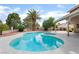 Beautiful backyard pool with a palm tree and well-maintained landscaping at 1587 Bermuda Dunes Dr, Boulder City, NV 89005