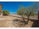 A low maintenance backyard, featuring desert landscaping and a wrought iron fence at 2008 Royal Gardens Pl, North Las Vegas, NV 89084