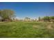 Expansive green lawn with mature trees and distant building view, perfect for recreation at 2008 Royal Gardens Pl, North Las Vegas, NV 89084