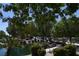 Scenic pond with lush greenery, waterfall feature, and pathway with seating at 2008 Royal Gardens Pl, North Las Vegas, NV 89084