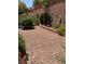 An outdoor space features a rock landscape design with trees and various plants at 495 Edgefield Ridge Pl, Henderson, NV 89012