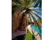 Backyard pool features updated deck and is surrounded by mature palm trees at 5368 Regal Ave, Las Vegas, NV 89146