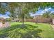 Well-maintained lawn and landscaping with swimming pool, mature trees, and privacy fencing at 6103 Sundown Crest St, Las Vegas, NV 89113