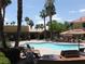 Resort-style swimming pool with palm trees, lounge chairs, and grilling area creating a relaxing community space at 2120 Ramrod Ave # 417, Henderson, NV 89014