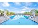 A large luxurious pool surrounded by lounge chairs and greenery provides a relaxing retreat at 704 Webber Park St, Henderson, NV 89011