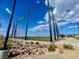 Scenic view of the community baseball field with protective netting, set against blue skies at 3447 Sw Covilha Ln, Henderson, NV 89044