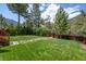 Lush backyard featuring a well-kept lawn with a stone pathway at 3935 White Fir Way, Mount Charleston, NV 89124