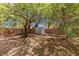 Expansive backyard featuring gravel landscaping, mature shade trees, and a storage shed at 6636 Surfbird St, North Las Vegas, NV 89084