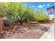 Wide backyard with gravel landscaping, mature shade trees and a storage shed along a brick wall at 6636 Surfbird St, North Las Vegas, NV 89084