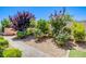 Lush backyard featuring vibrant trees, decorative gravel, and a brick walkway at 8298 W Agate Ave, Las Vegas, NV 89113