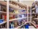 Walk-in pantry provides ample storage with an array of shelves for dry goods and household items at 8298 W Agate Ave, Las Vegas, NV 89113