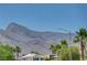 A beautiful mountain view overlooking palm trees and lovely rooftops at 8529 Gold Flash Ave, Las Vegas, NV 89129
