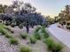 A picturesque community path lined with trees and lush greenery offers a tranquil outdoor experience at 9728 Echo Hills Dr, Las Vegas, NV 89134