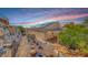 The backyard features rock landscaping, trees, and a home with solar panels at 1126 Winter Storm Dr, Henderson, NV 89052