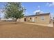 Spacious backyard with mature tree, desert landscaping, and block wall fence at 120 Dogwood St, Henderson, NV 89015