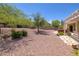 Lush backyard featuring a covered patio, desert landscaping, mature trees, and spa at 1620 Fieldbrook St, Henderson, NV 89052