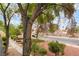 Street view featuring a lush tree and meticulously maintained landscaping at 3221 Yolanda Ln, Las Vegas, NV 89121