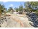 Large backyard features desert landscaping with mature trees and shrubs, offering privacy and a serene outdoor space at 4343 Sharpshooter Ln, North Las Vegas, NV 89031
