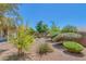 Backyard featuring desert landscaping and a block wall at 4369 Meadowlark Wing Way, North Las Vegas, NV 89084