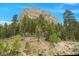 Scenic view of a mountain and lush trees, creating a serene and natural backdrop at 4830 Silver Tip Way, Mount Charleston, NV 89124