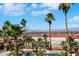 Palm tree lined backyard featuring a free form swimming pool and lounge areas at 1385 Morning Sun Way, Las Vegas, NV 89110