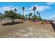 Expansive desert land featuring mature palm trees with picturesque mountain views; great investment opportunity at 1385 Morning Sun Way, Las Vegas, NV 89110