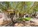 Beautiful backyard featuring artificial grass, a covered patio, and mature trees providing shade at 2111 Tiger Links Dr, Henderson, NV 89012