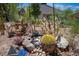 Close-up of a backyard desert garden featuring cacti, rocks, a small water feature, and decorative elements at 2545 Divine Sky Dr, Henderson, NV 89044