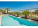Backyard swimming pool lined with small palm trees at 3042 Soft Horizon Way, Las Vegas, NV 89135