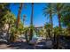 A tranquil community pool area is surrounded by towering palm trees and comfortable lounge chairs at 4200 S Valley View Blvd # 1077, Las Vegas, NV 89103