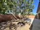 Landscaped backyard with mature trees, rock features, and a paved patio, providing a private outdoor space at 5439 E Cansano St, Pahrump, NV 89061