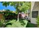 A spacious backyard featuring artificial grass, mature trees, a seating area, and well-maintained landscaping at 5908 Marbrisas Ln, Las Vegas, NV 89130