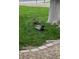 Two ducks in a backyard near a tree at 5908 Marbrisas Ln, Las Vegas, NV 89130