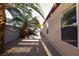 Side yard with palm trees, desert landscaping, and a view of the home at 6493 Yellow Bells Ct, Las Vegas, NV 89131