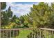 Scenic view of a lush green lawn with mature trees, creating a tranquil and inviting outdoor space at 1551 Boundary Peak Way, Las Vegas, NV 89135