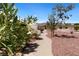 Backyard walkway showcasing flowering shrubs and desert landscaping with mountain views in the distance at 4317 Velvet Ridge Ct, Las Vegas, NV 89129
