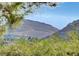 Distant mountain views behind trees and homesites in the community at 11417 Rock Cove Way, Las Vegas, NV 89141