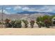 Landscaped property featuring diverse flora with a mountain backdrop, enhancing the serene outdoor setting at 2891 S Rainbow Ave, Pahrump, NV 89048