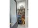 Walk-in pantry with ample shelving for organized food storage and household items at 2891 S Rainbow Ave, Pahrump, NV 89048
