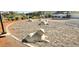 Community dog park featuring multiple animal sculptures for climbing or play at 5045 Bayberry Crest St, North Las Vegas, NV 89031