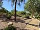 Landscaped community common area with mature trees, shrubs, and a walking path at 5216 Loma Verde Ave, Las Vegas, NV 89108