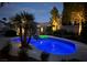 Outdoor pool with palm trees and shrubs illuminated at night with beautiful ambient lighting at 697 Gull Point Ave, Las Vegas, NV 89123