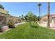 View of lush green lawn enclosed with fencing in the backyard, with palm trees and well-maintained landscaping at 7273 Vista Bonita Dr, Las Vegas, NV 89149