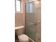 Bathroom showcasing a walk-in shower with glass door and a toilet at 9091 Jumping Jacks Ave, Las Vegas, NV 89178