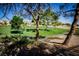 View of a golf course with lush green grass and mature trees, community homes in the background at 105 Chateau Whistler Ct, Las Vegas, NV 89148