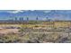 Scenic daytime view of the Las Vegas skyline with snow-capped mountains in the distance at 1165 Cactus Rock St, Henderson, NV 89011
