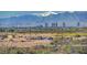 Expansive view showcasing the city skyline against a backdrop of majestic mountains at 1165 Cactus Rock St, Henderson, NV 89011