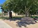 Proctor Judicial Park offers a tranquil, green space featuring mature trees and comfortable seating near the Police Department at 21 Laswell St, Henderson, NV 89015